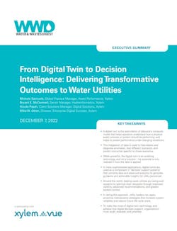 Summary Cover 63aca0fd02b56 Summary Cover 63aca0fd02b56