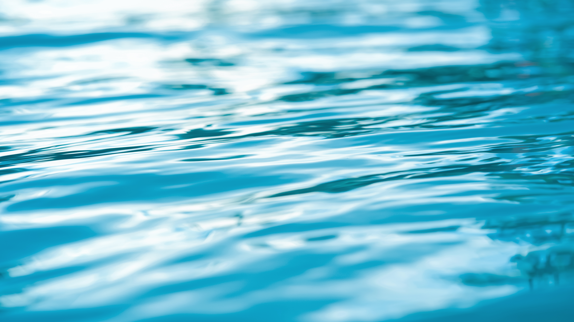 Dreamstime Xxl 155277565