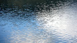 Dreamstime Xxl 3728707 63c7fd5ec1286 Dreamstime Xxl 3728707 63c7fd5ec1286