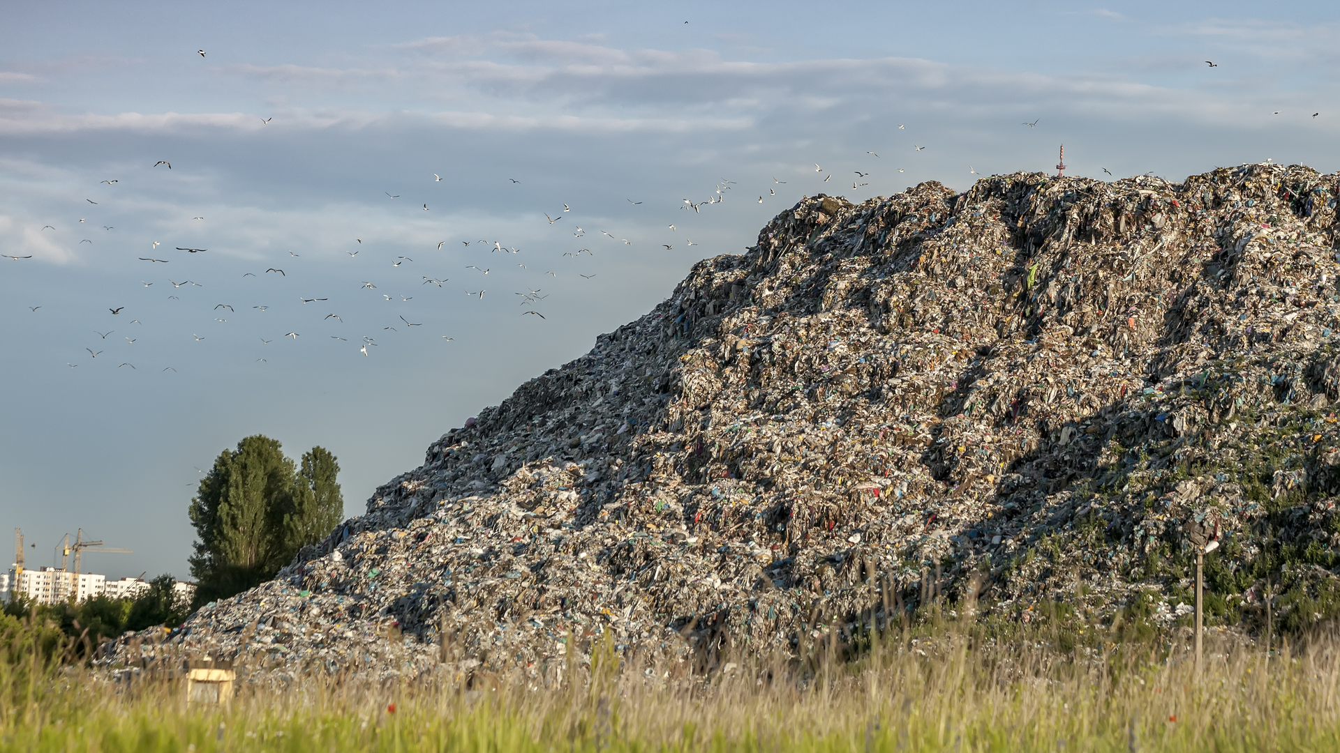 Dreamstime Xxl 94732057 63cfdd50ae261