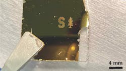 Low Res Figure2 For Article 1 jpg 640b4dce6e620 Low Res Figure2 For Article 1 jpg 640b4dce6e620