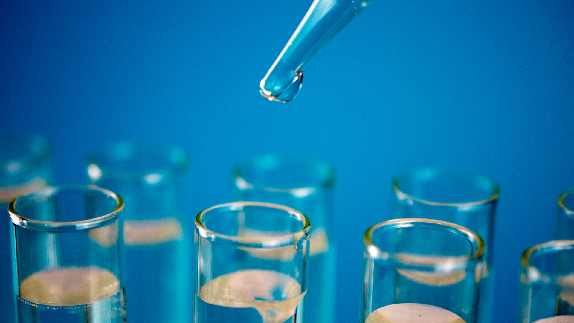 Dreamstime Xxl 147127344 641c6438761fd