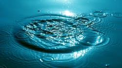 Dreamstime Xxl 2577656 64258fca5d856 Dreamstime Xxl 2577656 64258fca5d856