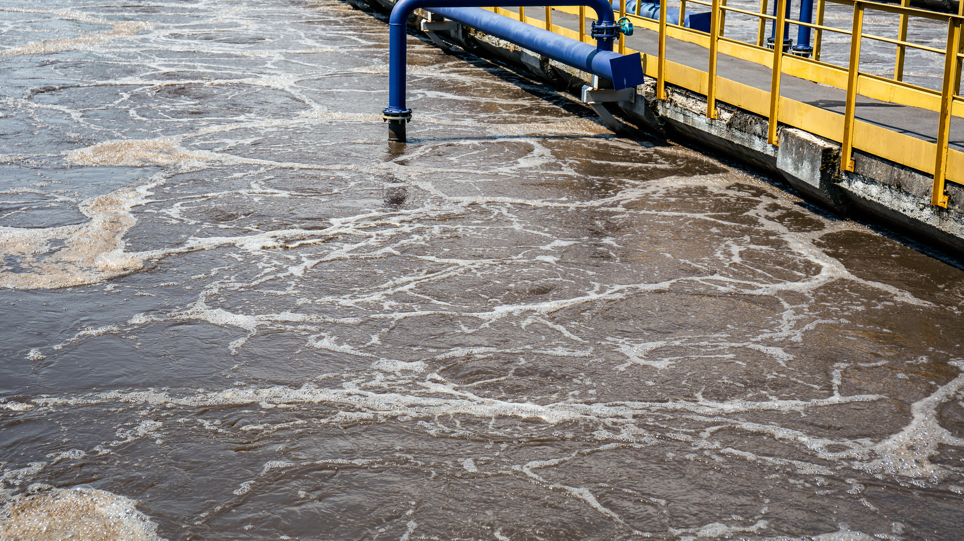 Dreamstime Xxl 151495571 644929107c4a4