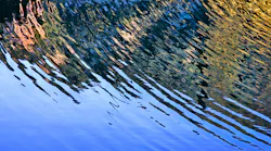 Dreamstime Xxl 20753740