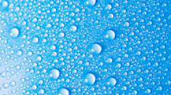 Dreamstime Xxl 43406264