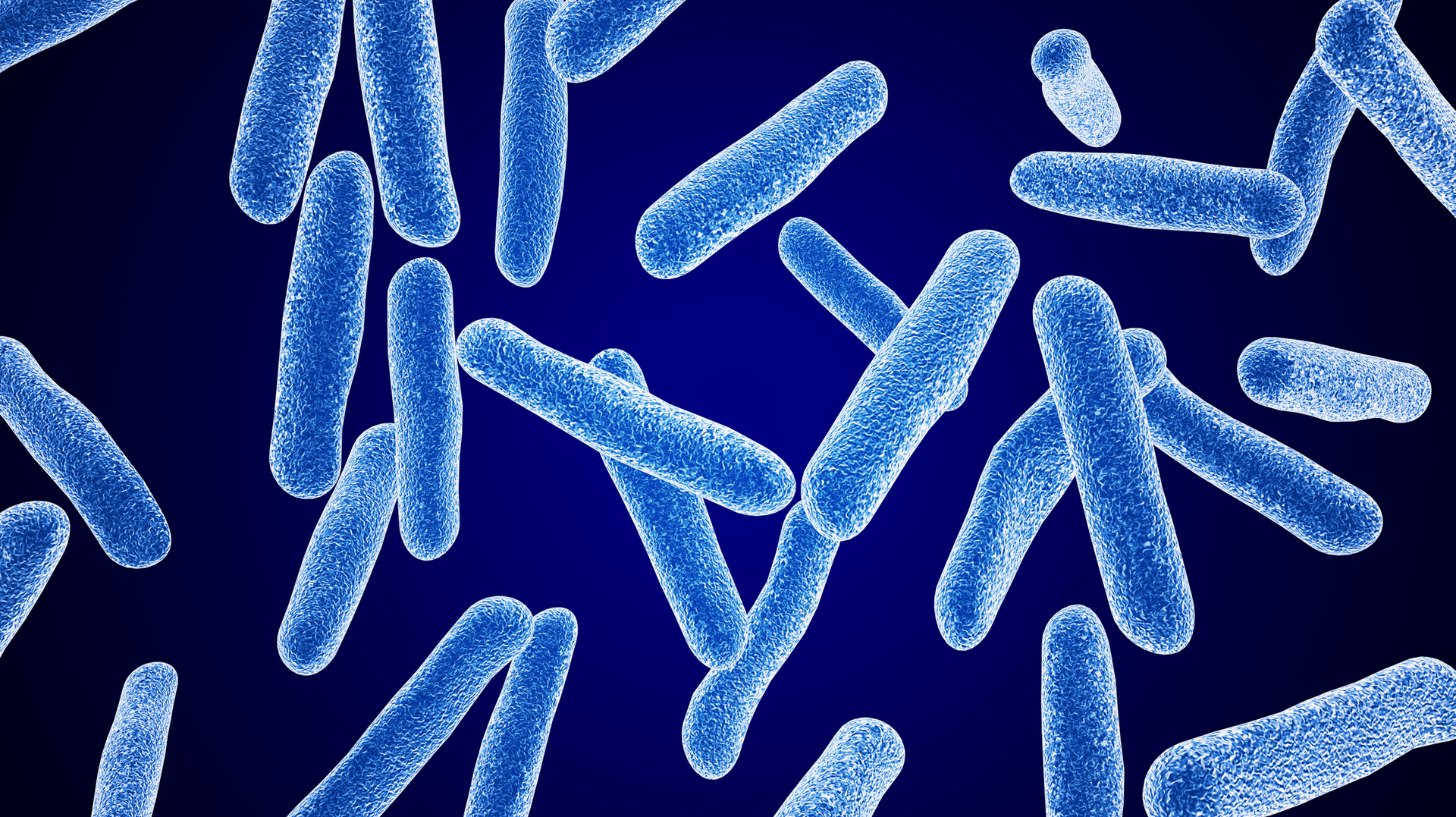 Dreamstime Xxl 8100787 64302b84bbdb0