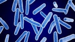 Dreamstime Xxl 8100787 64302b84bbdb0 Dreamstime Xxl 8100787 64302b84bbdb0