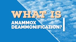 Microsoft Teams Image 2 6467dea425a84 Microsoft Teams Image 2 6467dea425a84