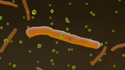 The solution's bacteria absorbs 1,4-Dioxane through its cell walls.