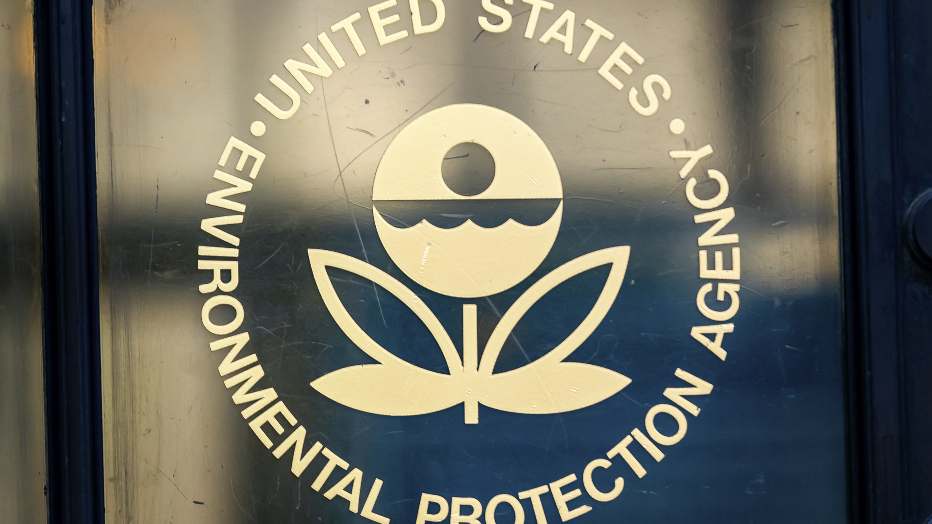 Dreamstime Xxl 150343081 645e77c155304