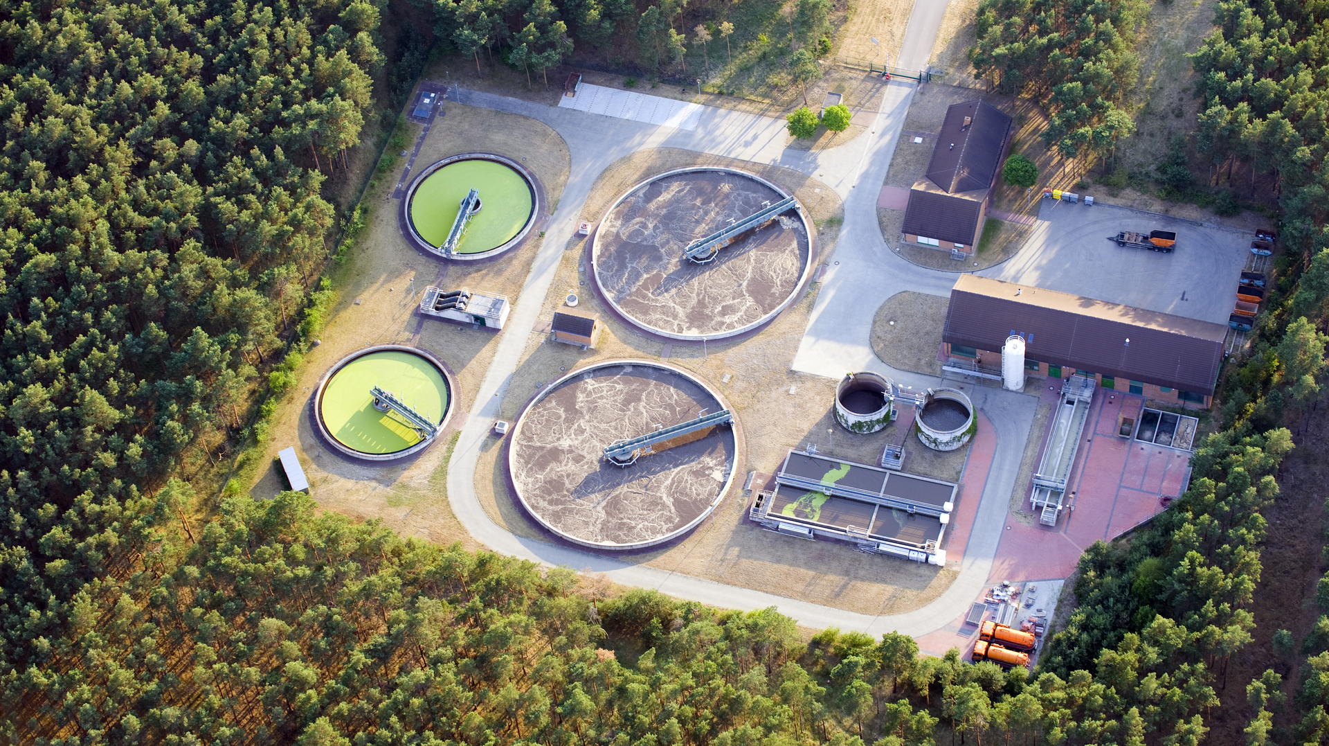 Dreamstime Xxl 19894611 646f61c1d9f67