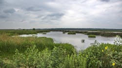 Dreamstime Xxl 43466337 646fb76b5bc64 Dreamstime Xxl 43466337 646fb76b5bc64