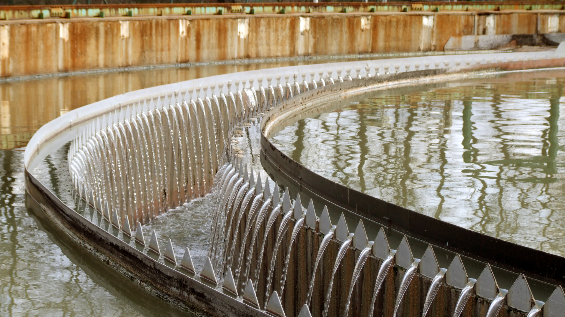 Dreamstime Xxl 4692923 645a586972192