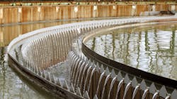 Dreamstime Xxl 4692923 645a586972192 Dreamstime Xxl 4692923 645a586972192