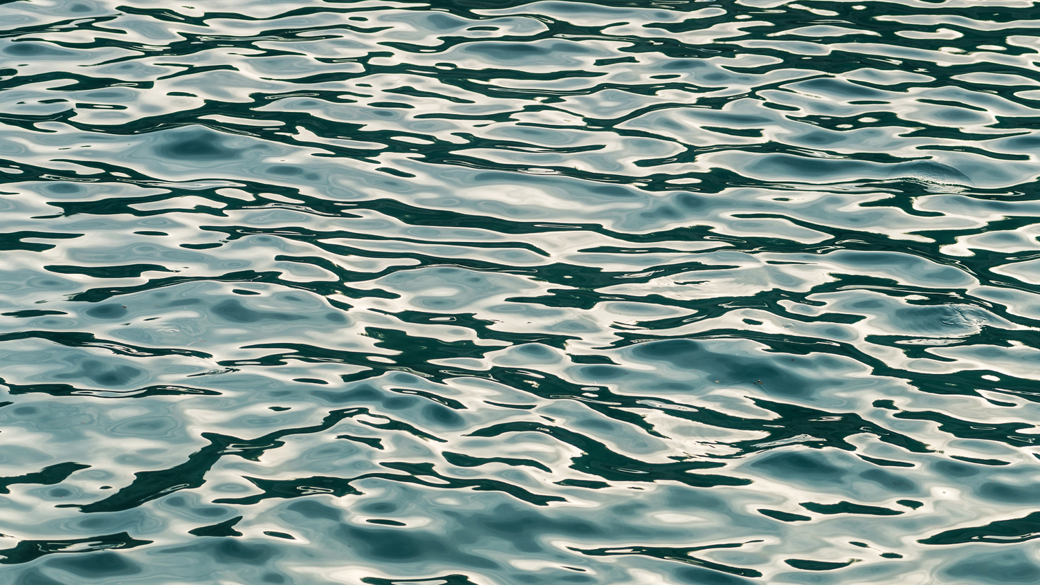 Dreamstime Xxl 47200060 646f73c9ac51f