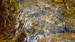 Dreamstime Xxl 54887938 6453c0e24cd3a