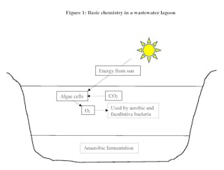 Seven Signs Of An Overloaded Lagoon