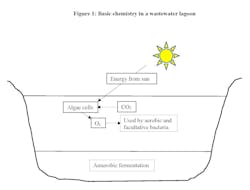 Figure 1. Basic chemistry in a wastewater treatment lagoon. Figure 1. Basic chemistry in a wastewater treatment lagoon.
