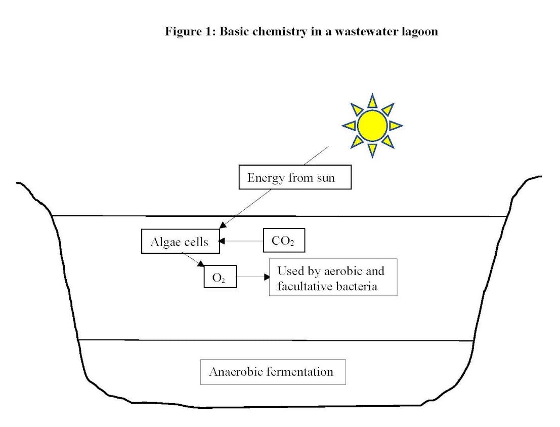 Figure 1. Basic chemistry in a wastewater treatment lagoon.