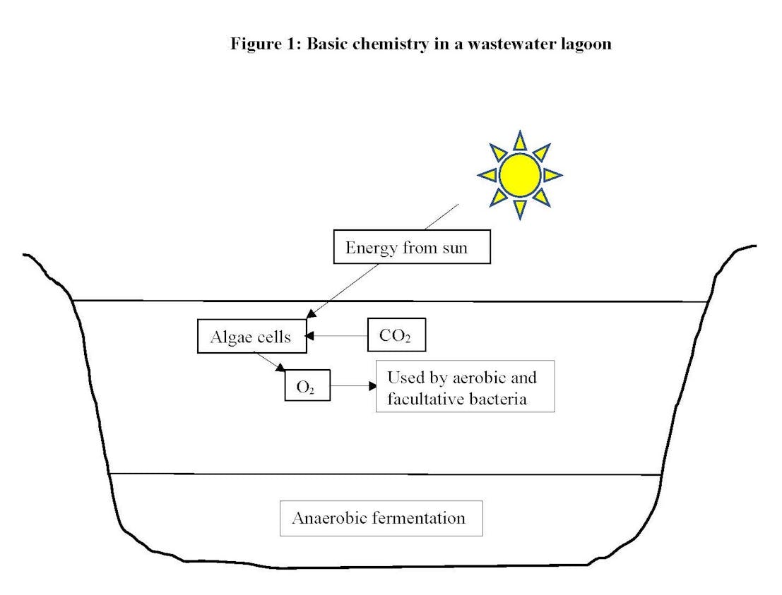 Figure 1. Basic chemistry in a wastewater treatment lagoon. Figure 1. Basic chemistry in a wastewater treatment lagoon.
