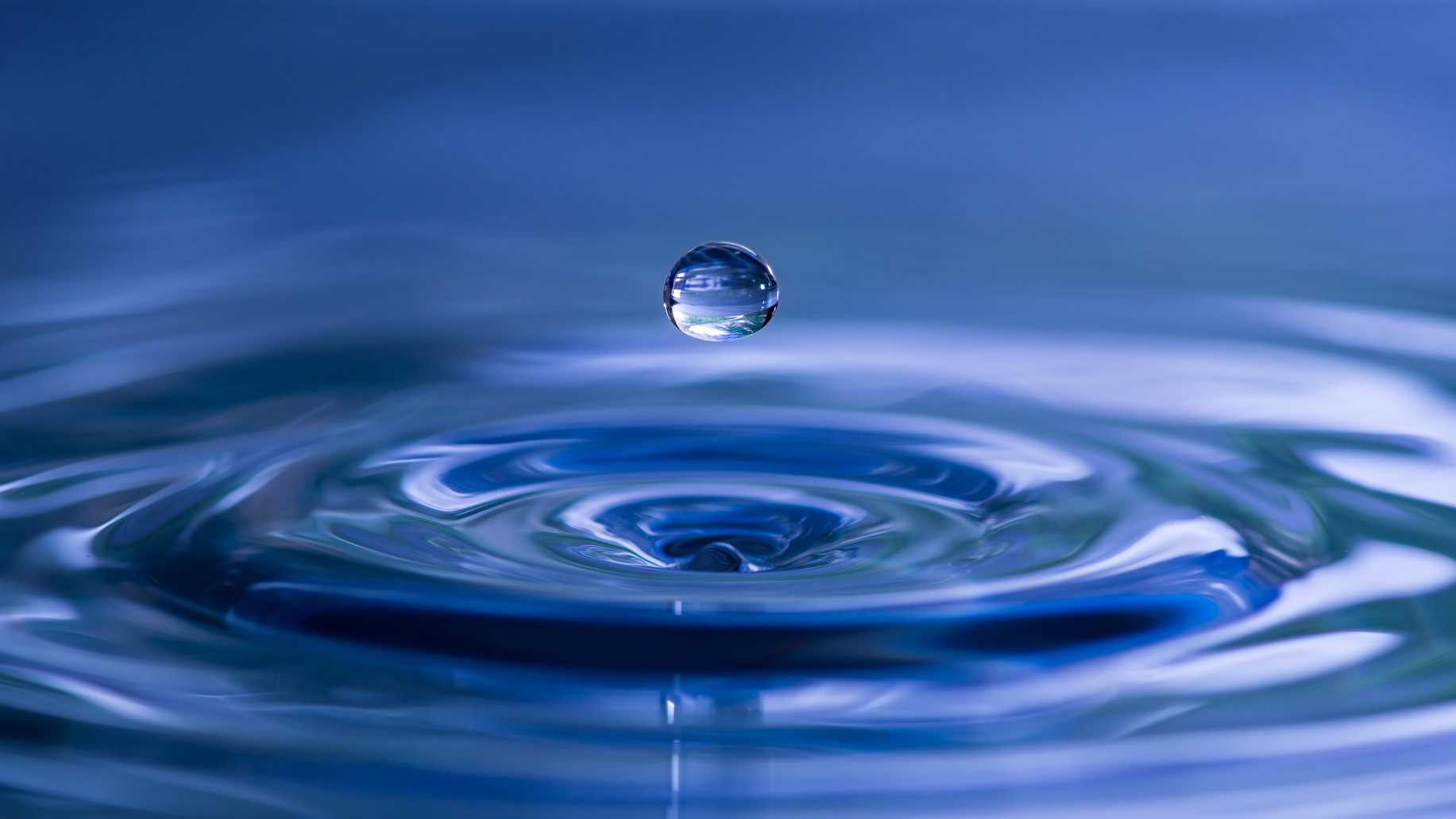 Dreamstime Xxl 40550406 6478a7c7baf8c