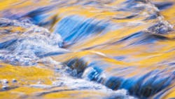 Dreamstime Xxl 4333220 647de8eb6d141 Dreamstime Xxl 4333220 647de8eb6d141