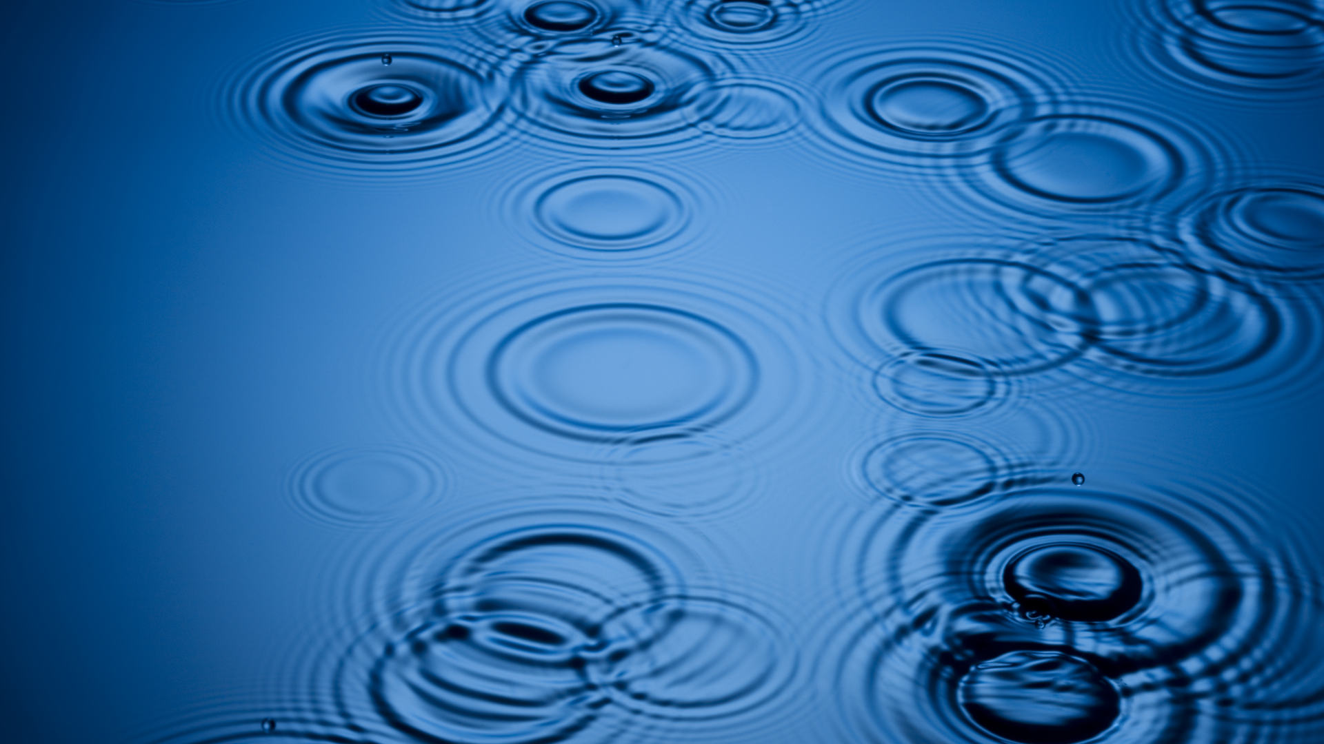 Dreamstime Xxl 6515129 1 647f32491c497