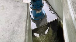 Dimminutor Asset Dimminutor Asset