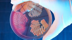 Dreamstime Xxl 12943375 64ad56624876a Dreamstime Xxl 12943375 64ad56624876a