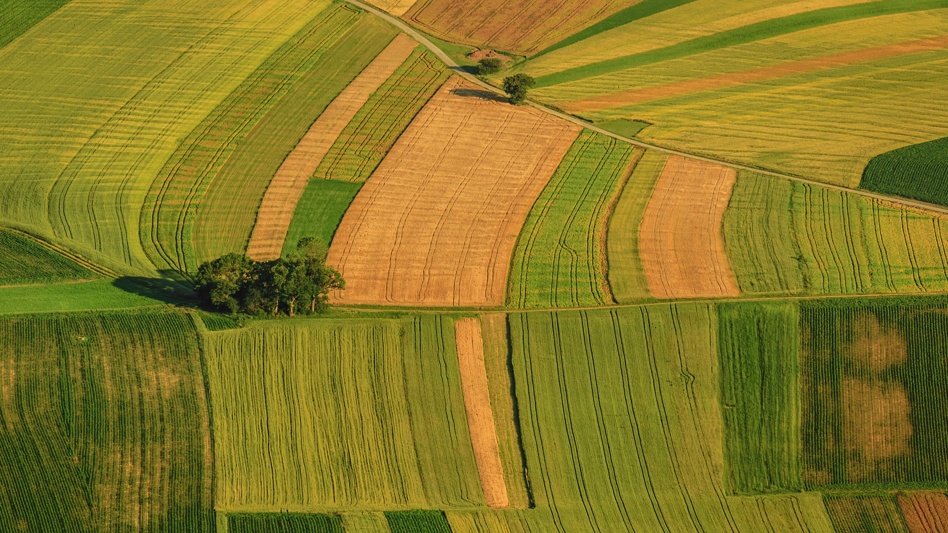 Dreamstime Xxl 28980736 64a6c19cdf10b