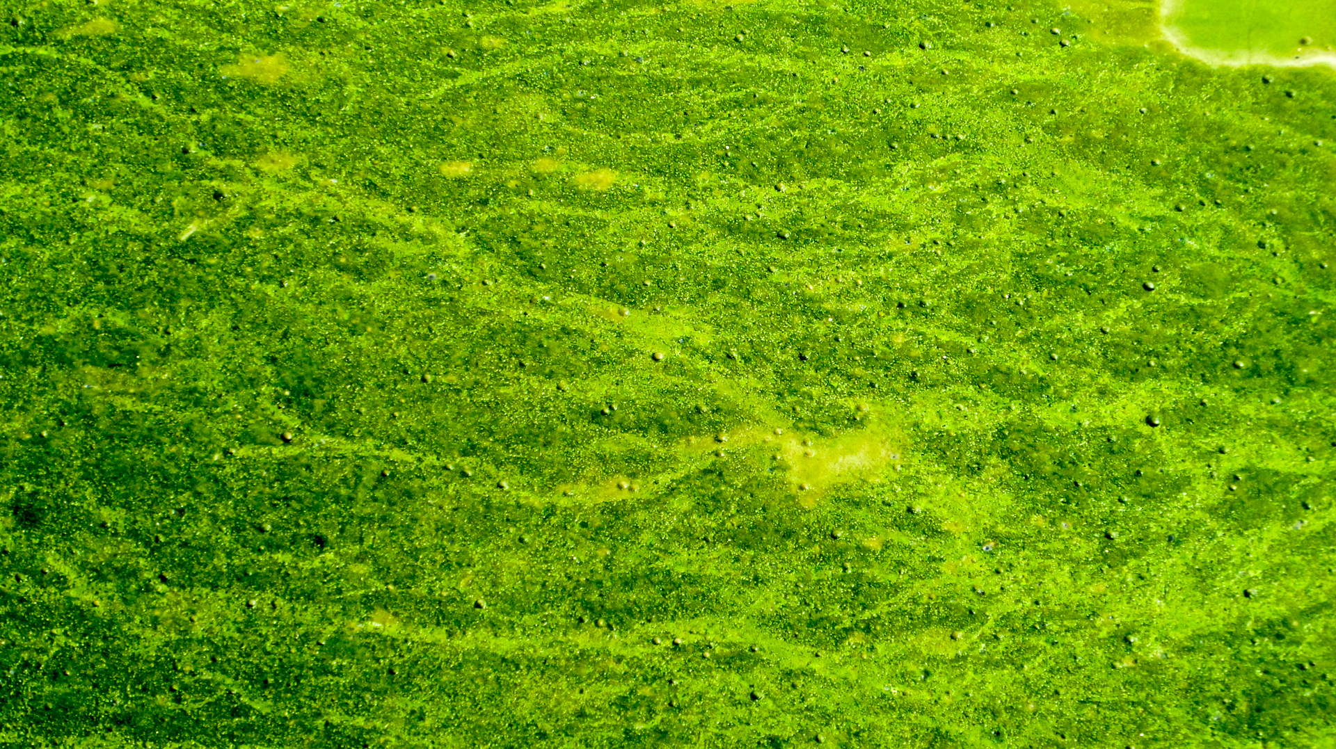 Dreamstime Xxl 98706328 64be7767e3dd8