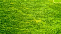 Dreamstime Xxl 98706328 64be7767e3dd8 Dreamstime Xxl 98706328 64be7767e3dd8