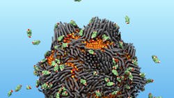 An illustration of the “smart rust” nanoparticle attracting floating estrogen molecules. An illustration of the “smart rust” nanoparticle attracting floating estrogen molecules.