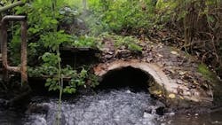 Low Res Bild 1 64db6dd7251fd Low Res Bild 1 64db6dd7251fd