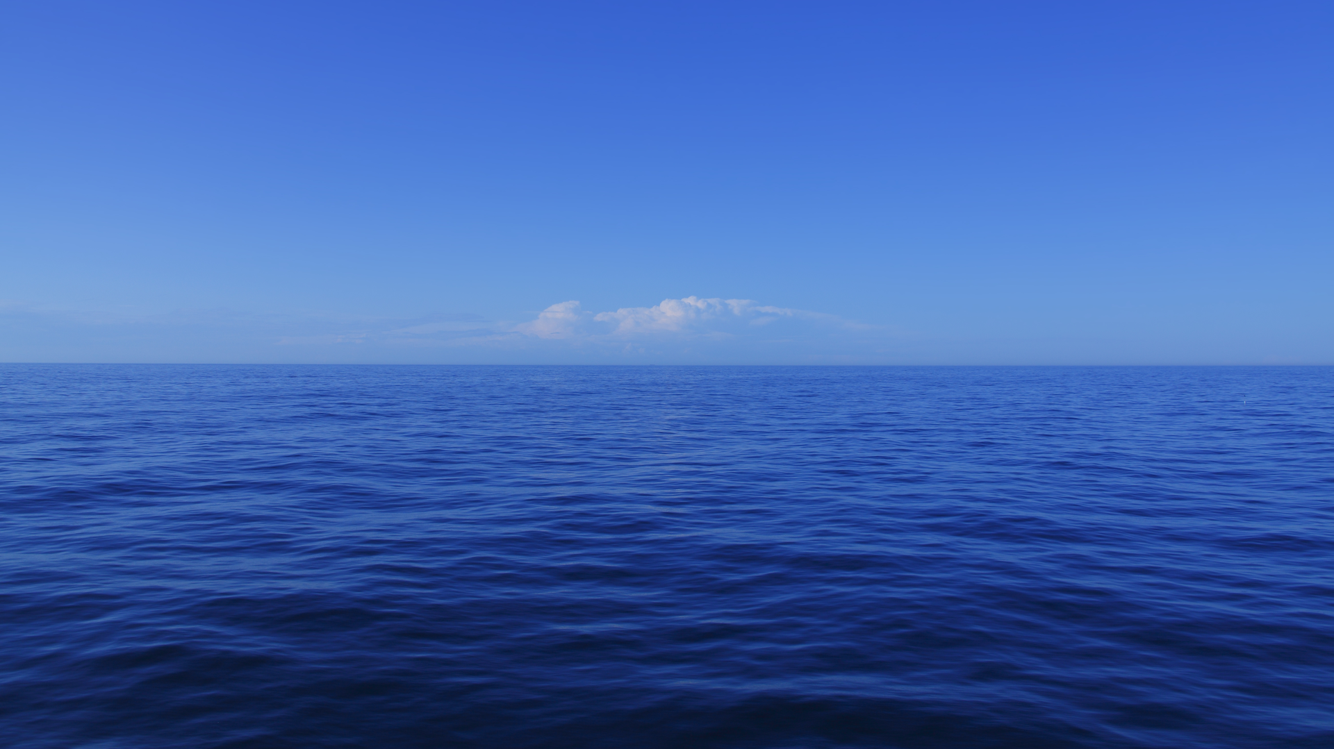 Dreamstime Xxl 21051337 64e6174027513