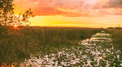 Dreamstime Xxl 194177927