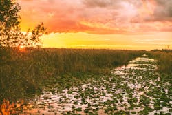 Dreamstime Xxl 194177927 64ef68a0d370d Dreamstime Xxl 194177927 64ef68a0d370d