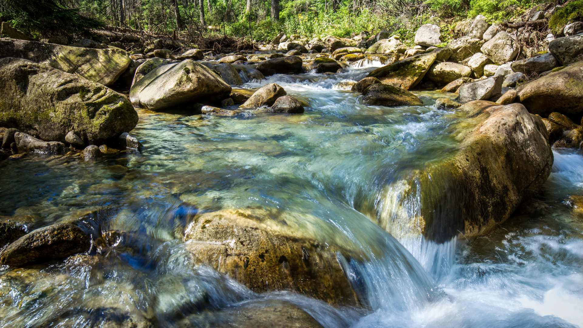 Dreamstime 33862678 6515e99249188