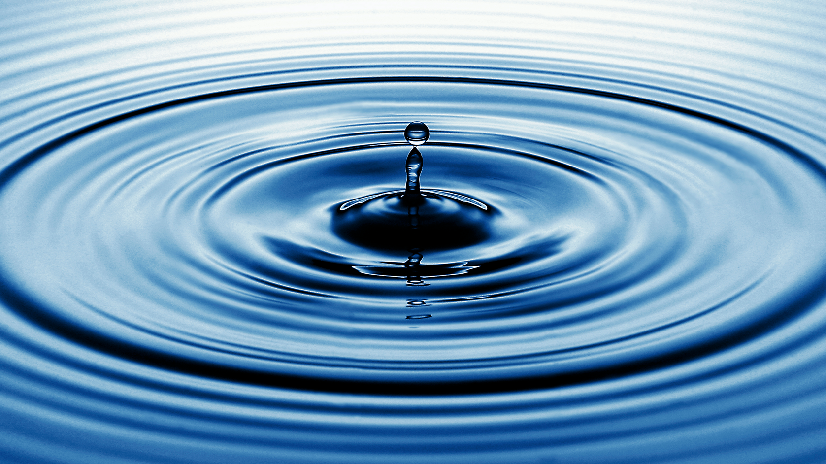 Dreamstime Xxl 8331601 1 6511958e8eb9a