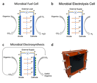 (a), (b), (c) Schematics of microbial electrochemical cells for various microbial electrochemical technologies. (d) Prototype microbial electrochemical cell assembled by team UnWastewater.