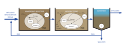Figure 1. The enhanced biological phosphorus removal process flow chart. Return activated sludge from the clarification process flows through anaerobic and aerobic zones for phosphorus removal. Figure 1. The enhanced biological phosphorus removal process flow chart. Return activated sludge from the clarification process flows through anaerobic and aerobic zones for phosphorus removal.