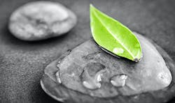 65317f831523c1001ed2acb7 Dreamstime Xxl 35983563 65317f831523c1001ed2acb7 Dreamstime Xxl 35983563