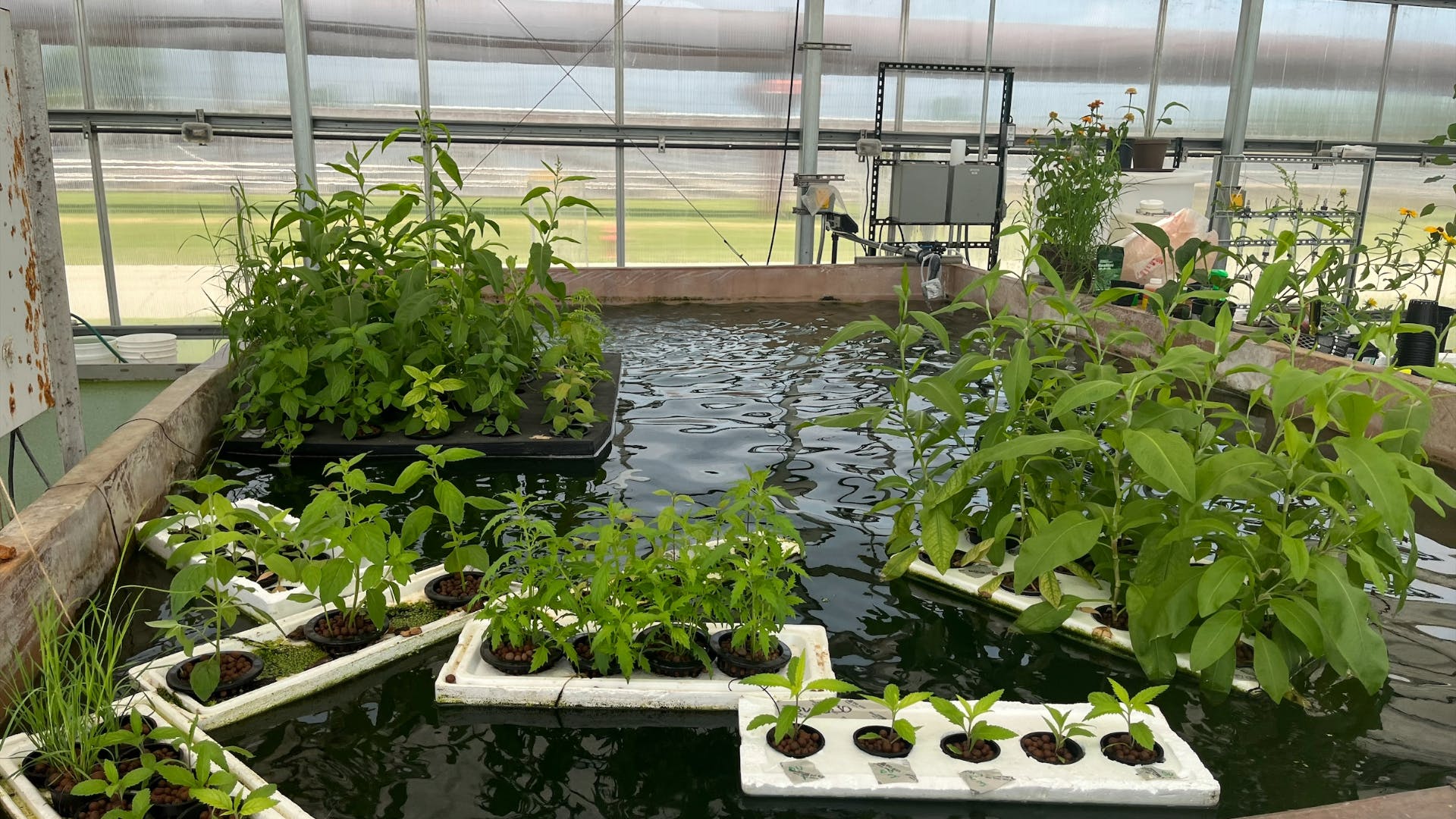 Artificial Floating Islands are being tested in a tank at the MWRD&rsquo;s O&rsquo;Brien Water Reclamation Plant..
