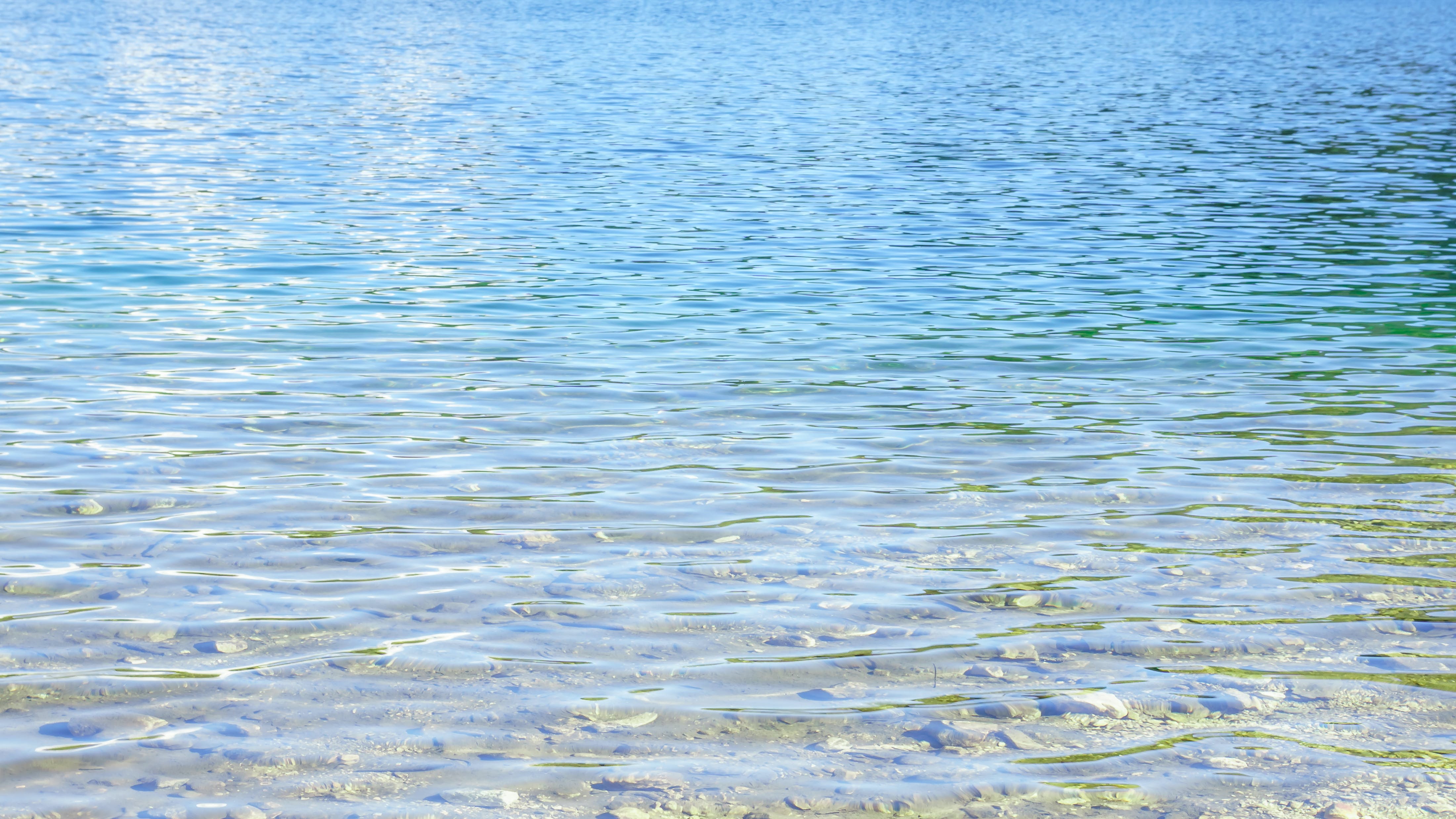 654cf21c92f69b001ddfc43f Dreamstime Xxl 92682690