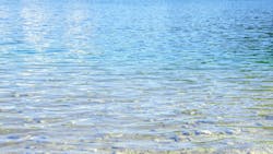 654cf21c92f69b001ddfc43f Dreamstime Xxl 92682690 654cf21c92f69b001ddfc43f Dreamstime Xxl 92682690