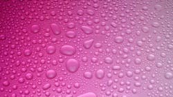 6582fdb7ec4fa2001f48231e Dreamstime Xxl 5376551 1 6582fdb7ec4fa2001f48231e Dreamstime Xxl 5376551 1