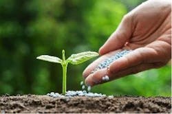 Technology is now available for recovering phosphorus and returning it to service as fertilizer. Technology is now available for recovering phosphorus and returning it to service as fertilizer.