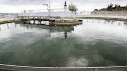 659c0b306849c9001ee475f0 Dreamstime Xxl 76657052 1 659c0b306849c9001ee475f0 Dreamstime Xxl 76657052 1