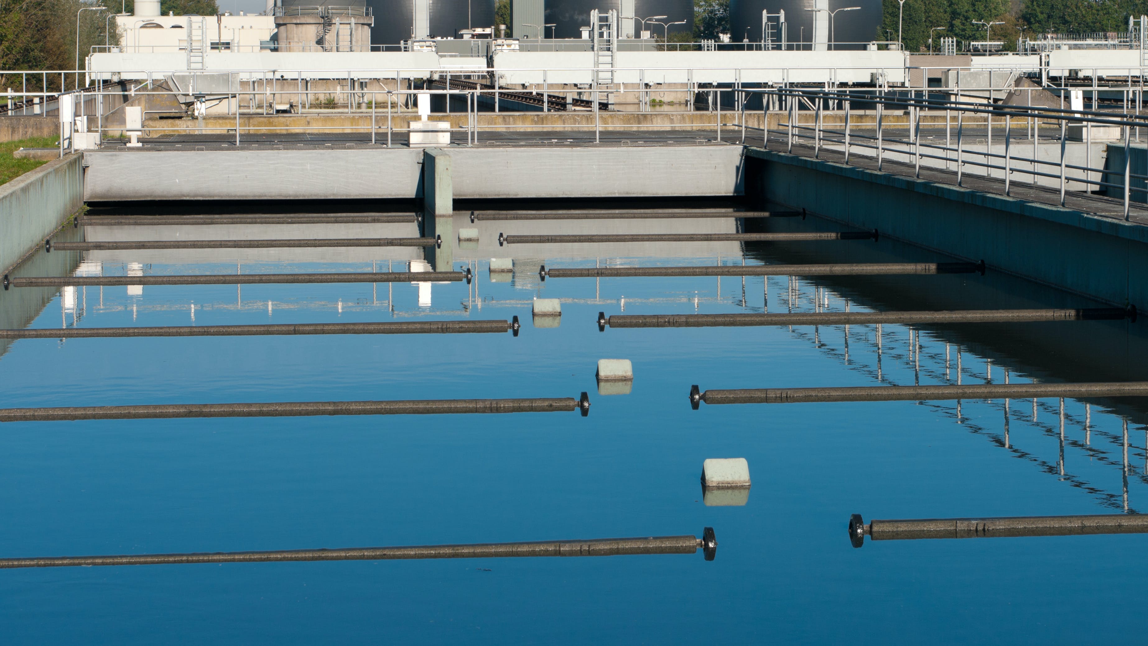 65a6914644f352001e9a8dc8 Dreamstime Xxl 22157567